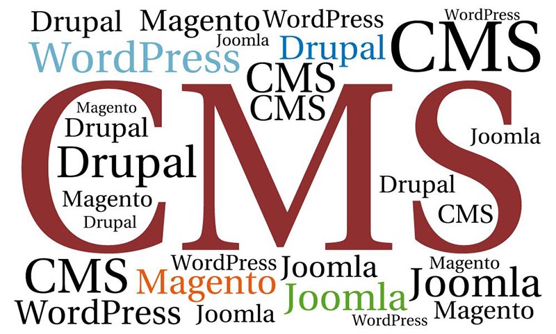 Word cloud featuring CMS, WordPress, Drupal, Joomla, and Magento in varying sizes