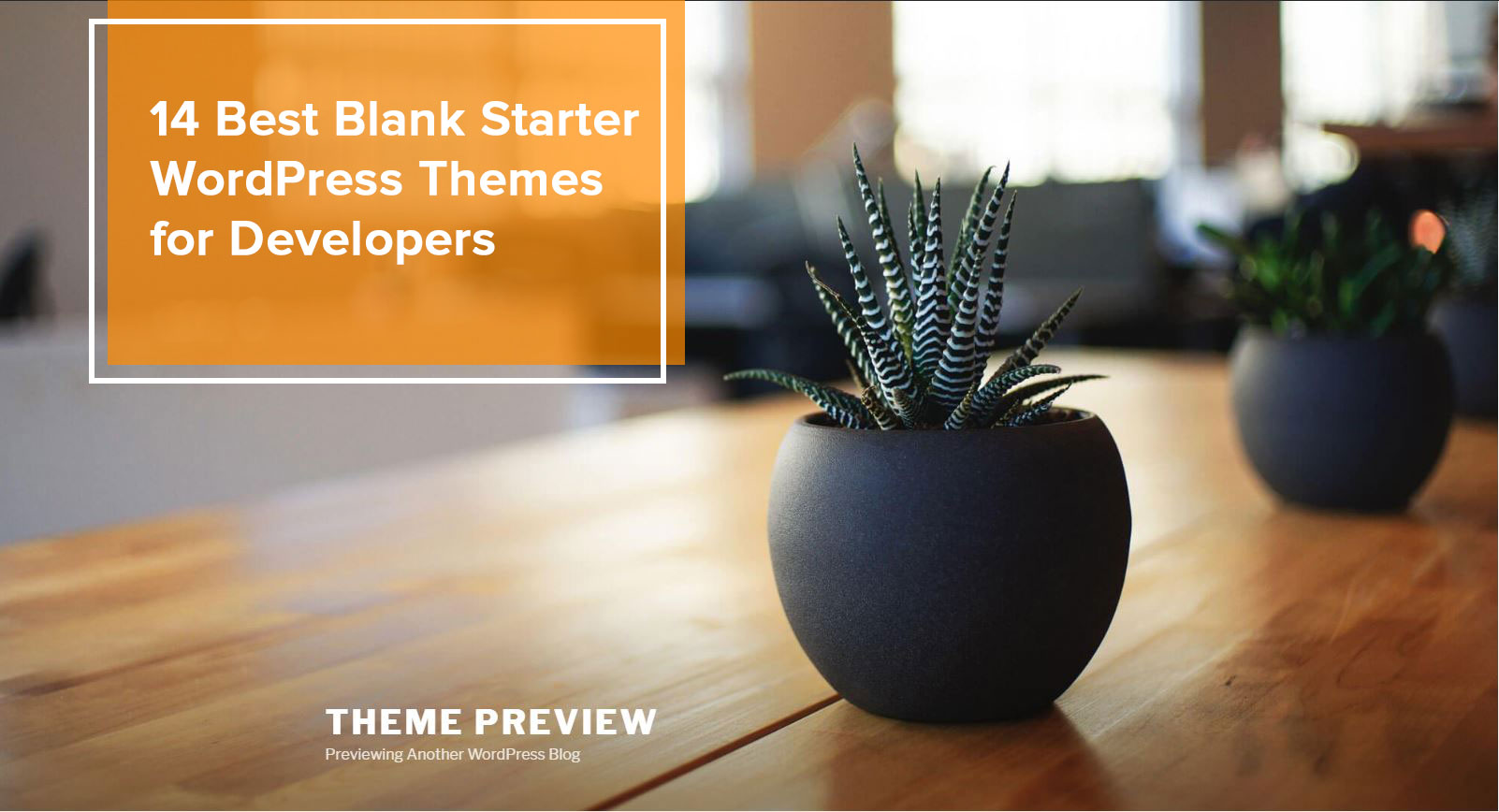 A potted succulent sitting on a table represents the theme titled Twenty Seventeen.