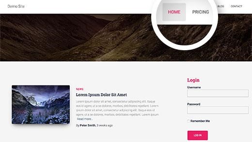 How to Create a Subscription Website Using WordPress: Step-by-Step Guide 88 subscriptionstep10