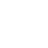 White Label SEO Services 38 King Icon
