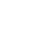 Risk Icon