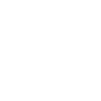 Speed Icon
