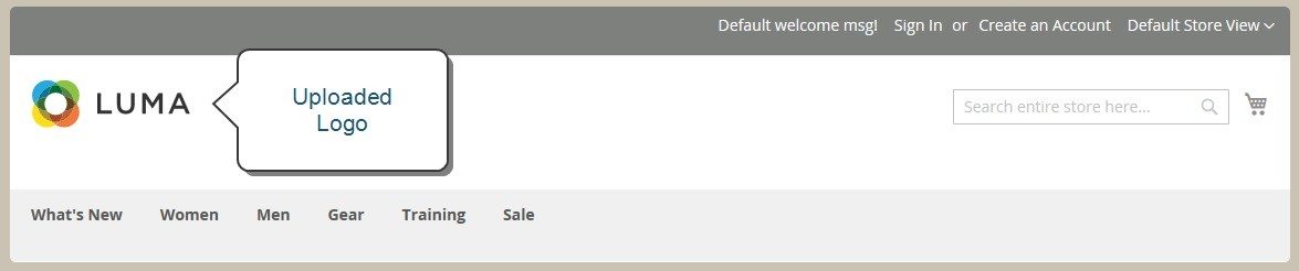Ultimate Guide to Setting Up a Magento eCommerce Store 56 6