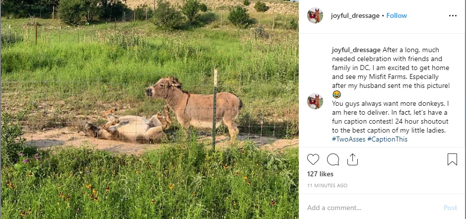 27 Types of Social Media Posts to Engage Followers ... With Examples! 48 caption this optimized